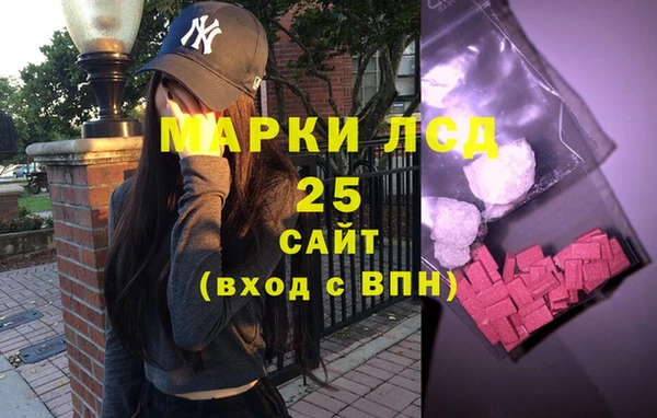 гашик Ельня