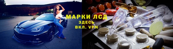 спиды Кущёвская