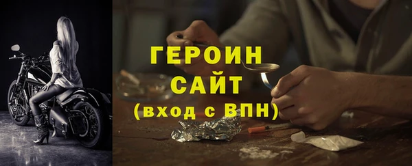 гашик Ельня