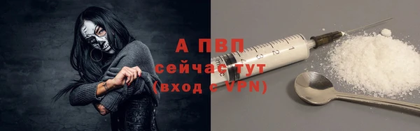 гашик Ельня