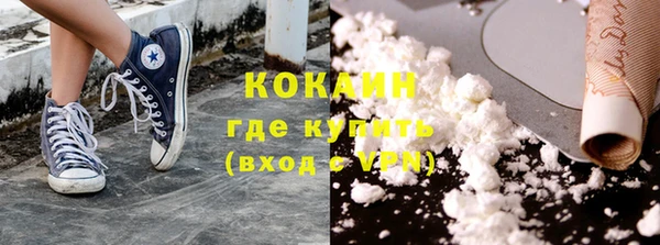 гашик Ельня