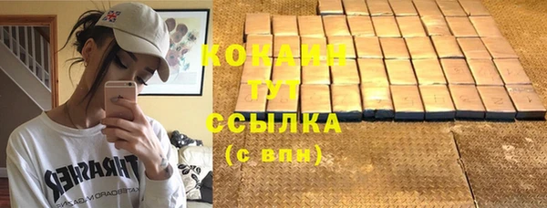 гашик Ельня
