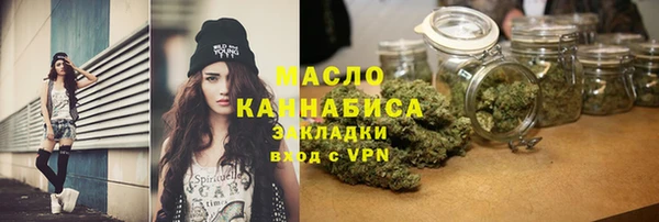 гашик Ельня