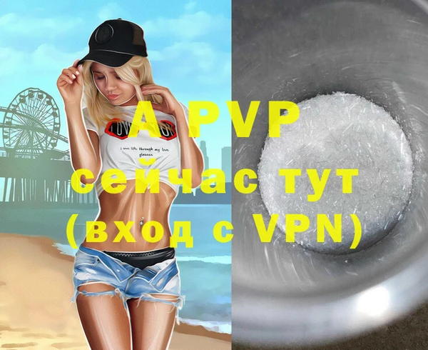 гашик Ельня